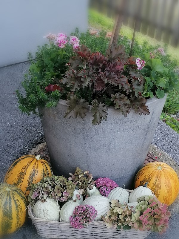 Hofladen Öffnungszeit am Samstag, 7. September 2024